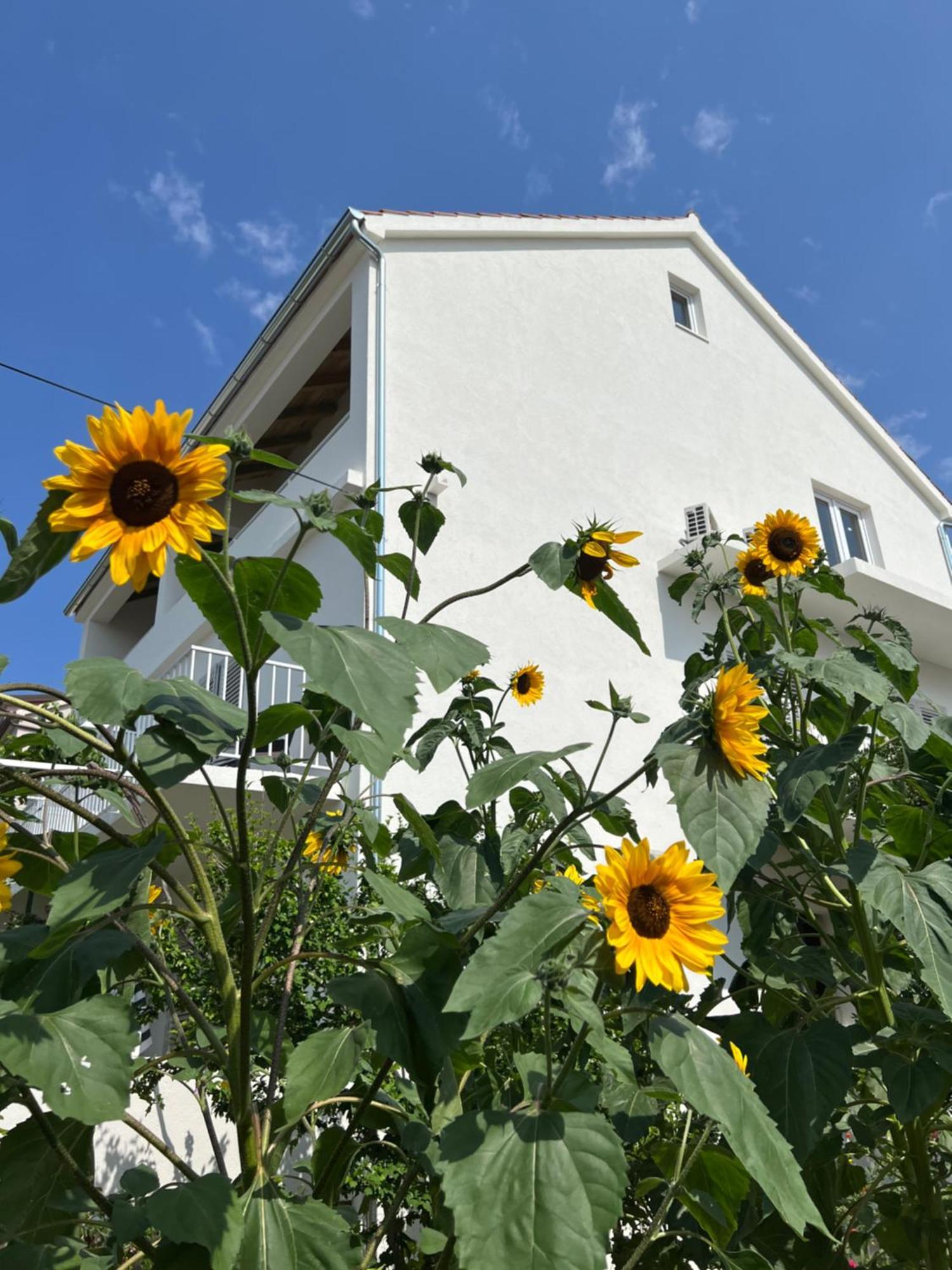 Apartments Nikola Stipisic Хвар Екстериор снимка