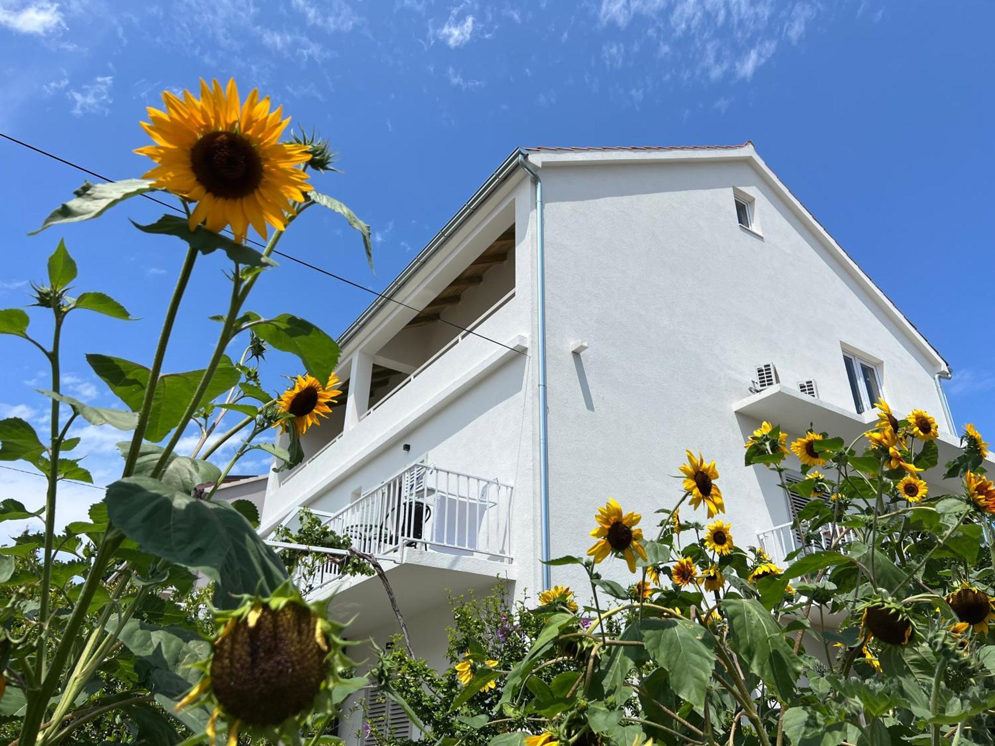 Apartments Nikola Stipisic Хвар Екстериор снимка