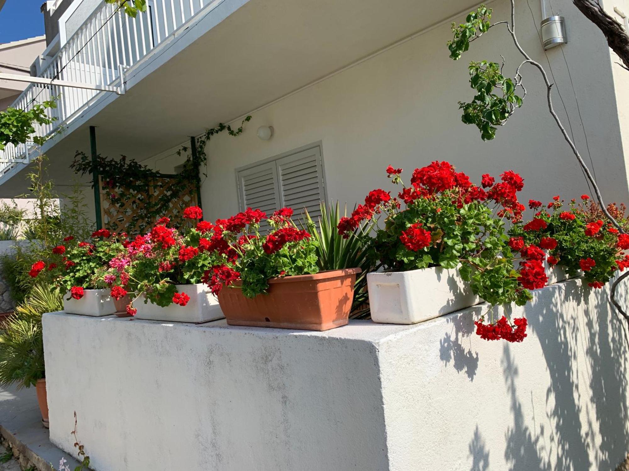Apartments Nikola Stipisic Хвар Екстериор снимка